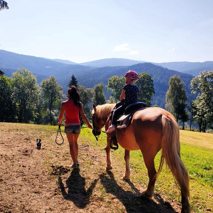 Erlebnisbauernhof Gutschi Ranch Kamp Zewnętrze zdjęcie