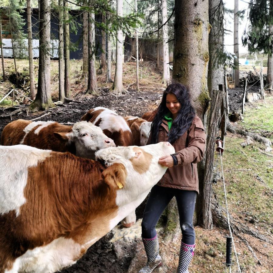 Erlebnisbauernhof Gutschi Ranch Kamp Zewnętrze zdjęcie