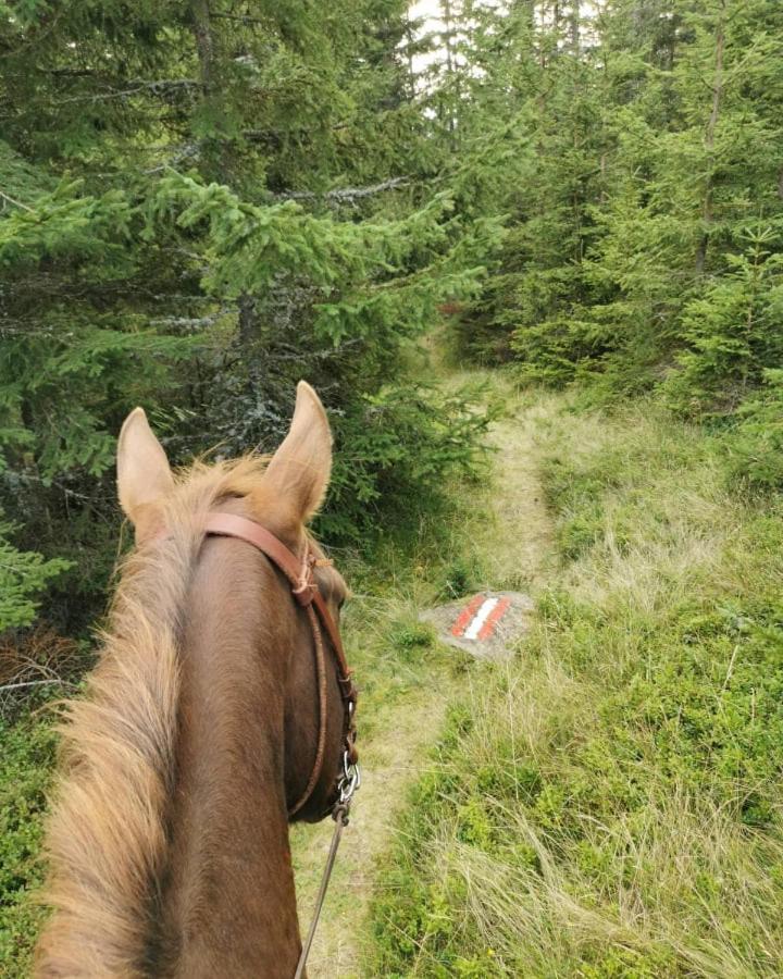 Erlebnisbauernhof Gutschi Ranch Kamp Zewnętrze zdjęcie