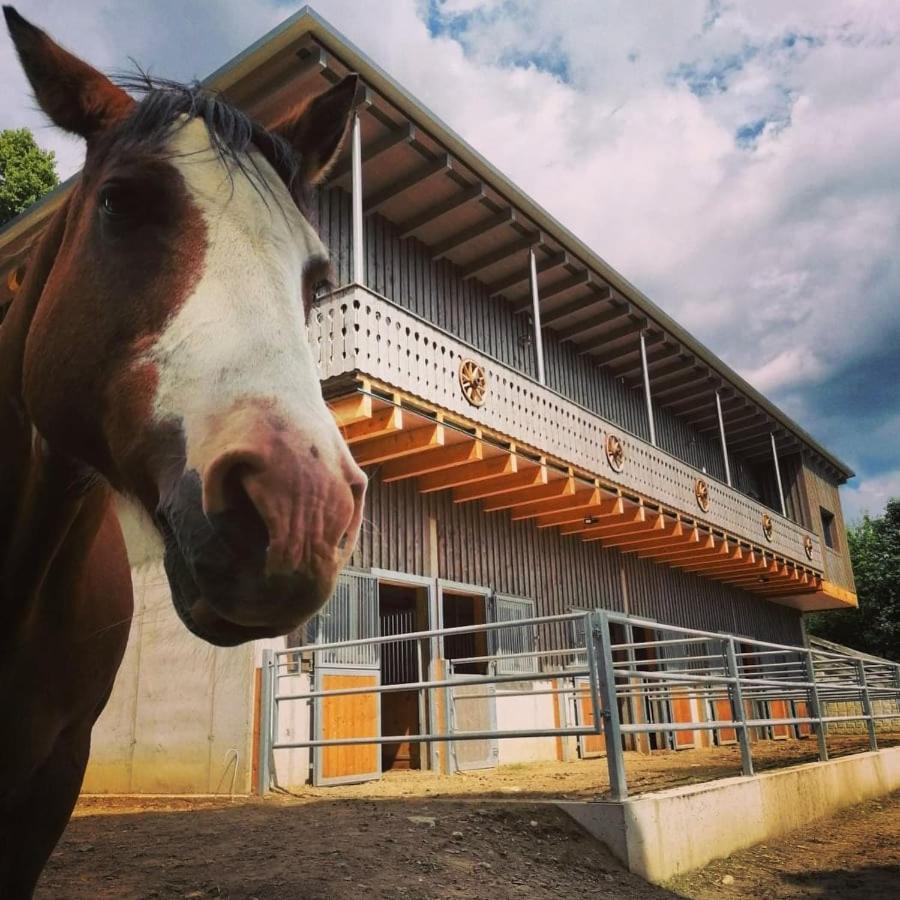 Apartament Erlebnisbauernhof Gutschi Ranch Kamp Zewnętrze zdjęcie