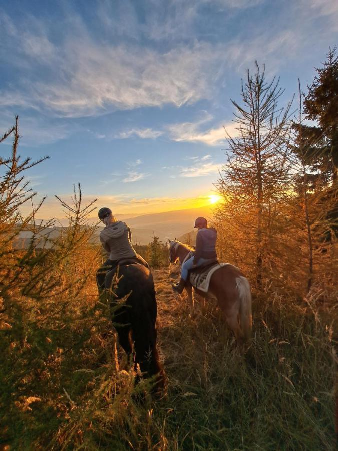 Erlebnisbauernhof Gutschi Ranch Kamp Zewnętrze zdjęcie