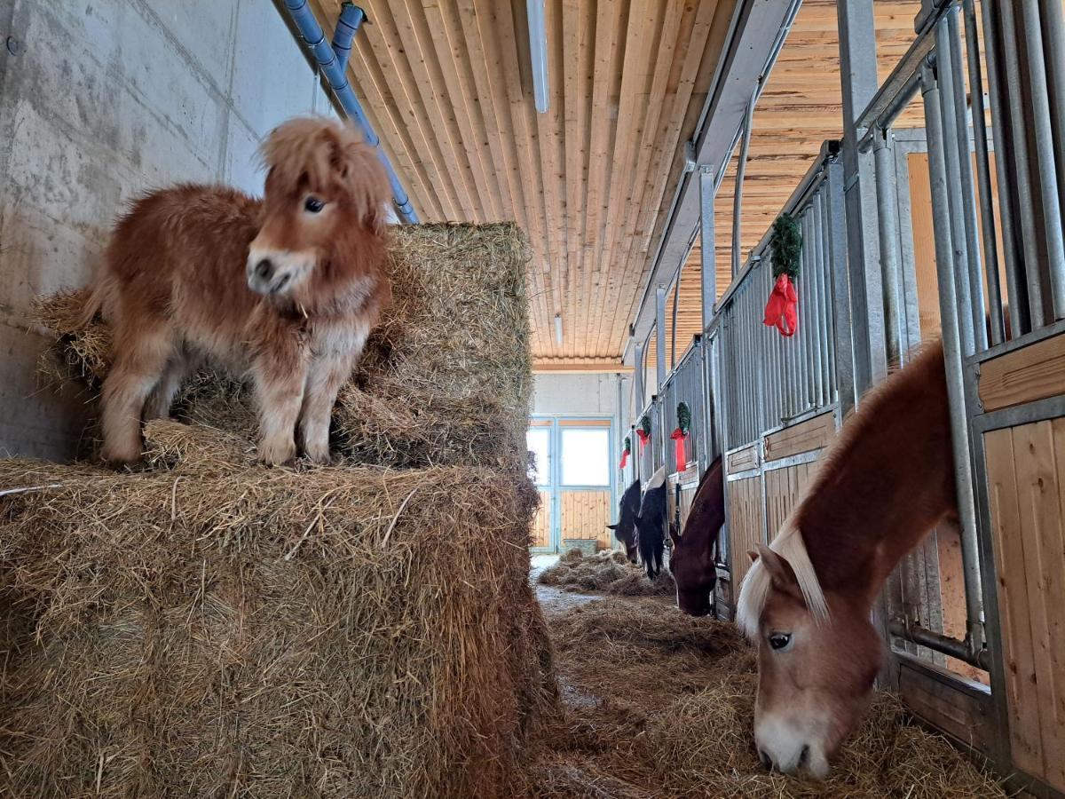 Erlebnisbauernhof Gutschi Ranch Kamp Zewnętrze zdjęcie