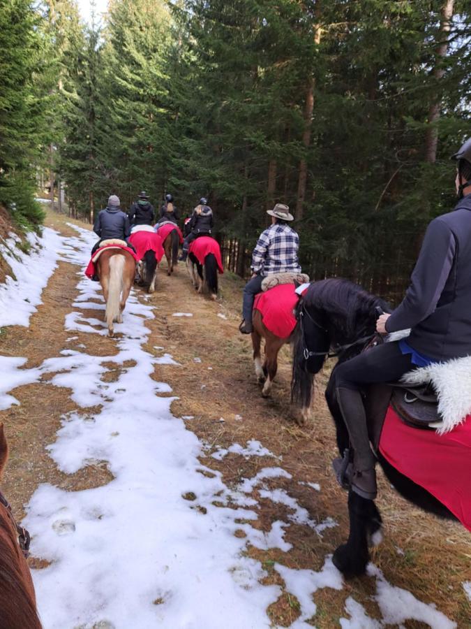 Erlebnisbauernhof Gutschi Ranch Kamp Zewnętrze zdjęcie