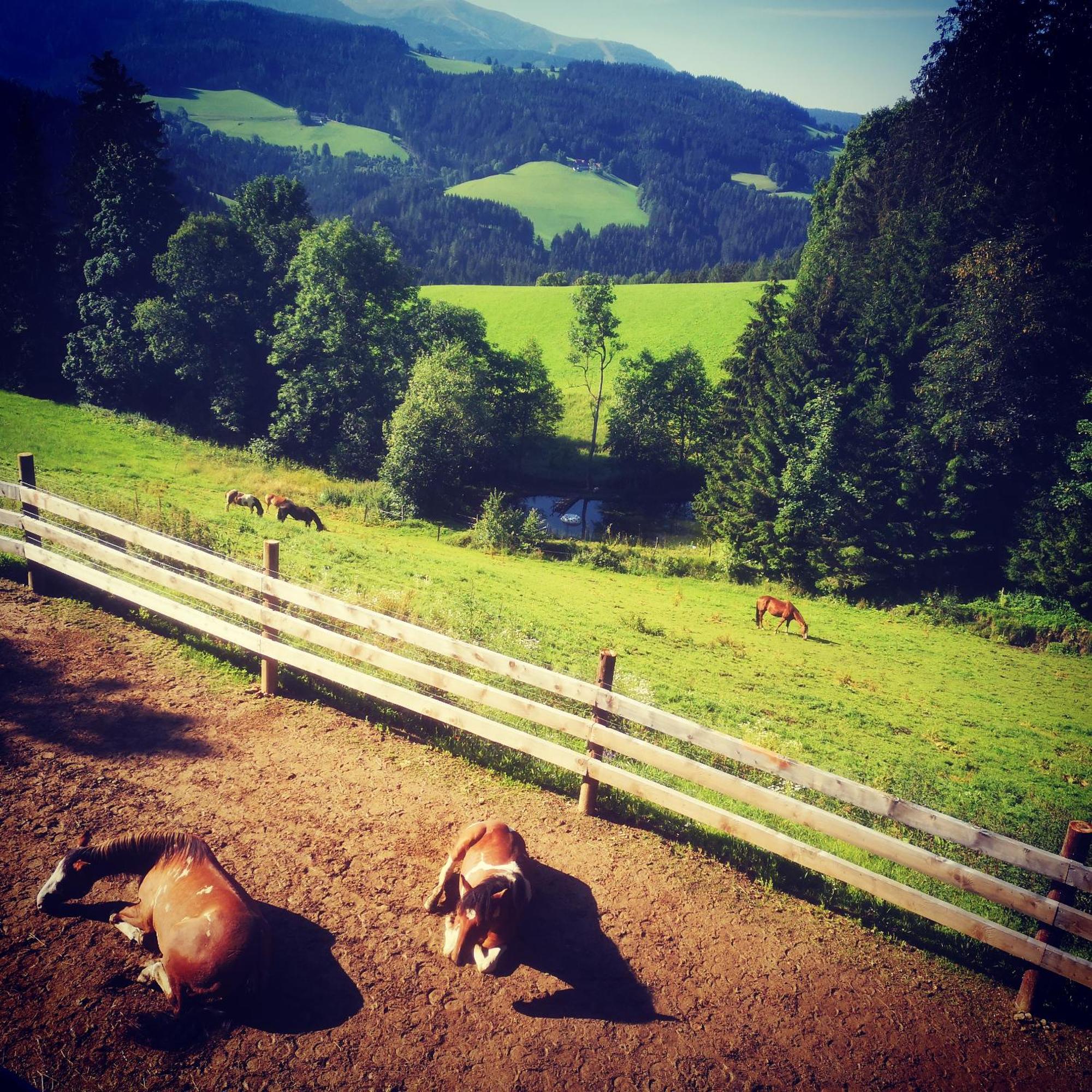 Erlebnisbauernhof Gutschi Ranch Kamp Pokój zdjęcie